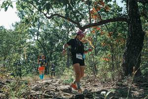 BIB: 
                            <button type="button" onclick="openModal(26114552)" class="btn btn-primary btn-sm float-right btn-popup" data-toggle="modal" data-target=".modal-high-quality">
                        <i class="fas fa-shopping-cart"></i> Add to Cart
                    </button>
                                            <button type="button" onclick="isThisMe(26114552, true)" class="btn btn-success btn-sm float-right btn-popup btn-isme hidden" data-toggle="tooltip" data-placement="bottom" title="นี่คือรูปของคุณใช่ไหม คลิกที่นี่เพื่อเอาเข้าอัลบั้ม">
                        <i class="fas fa-plus"></i> Add to album
                    </button>
                    <button type="button" onclick="isThisMe(26114552, false)" class="btn btn-warning btn-sm float-right btn-popup btn-isnotme hidden">
                        <i class="fas fa-ban"></i> Remove from album
                    </button>